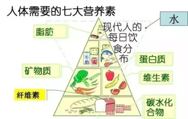 花費3萬塊找營養師咨詢減肥，梳理出的精華內容都在這里！減肥必看！